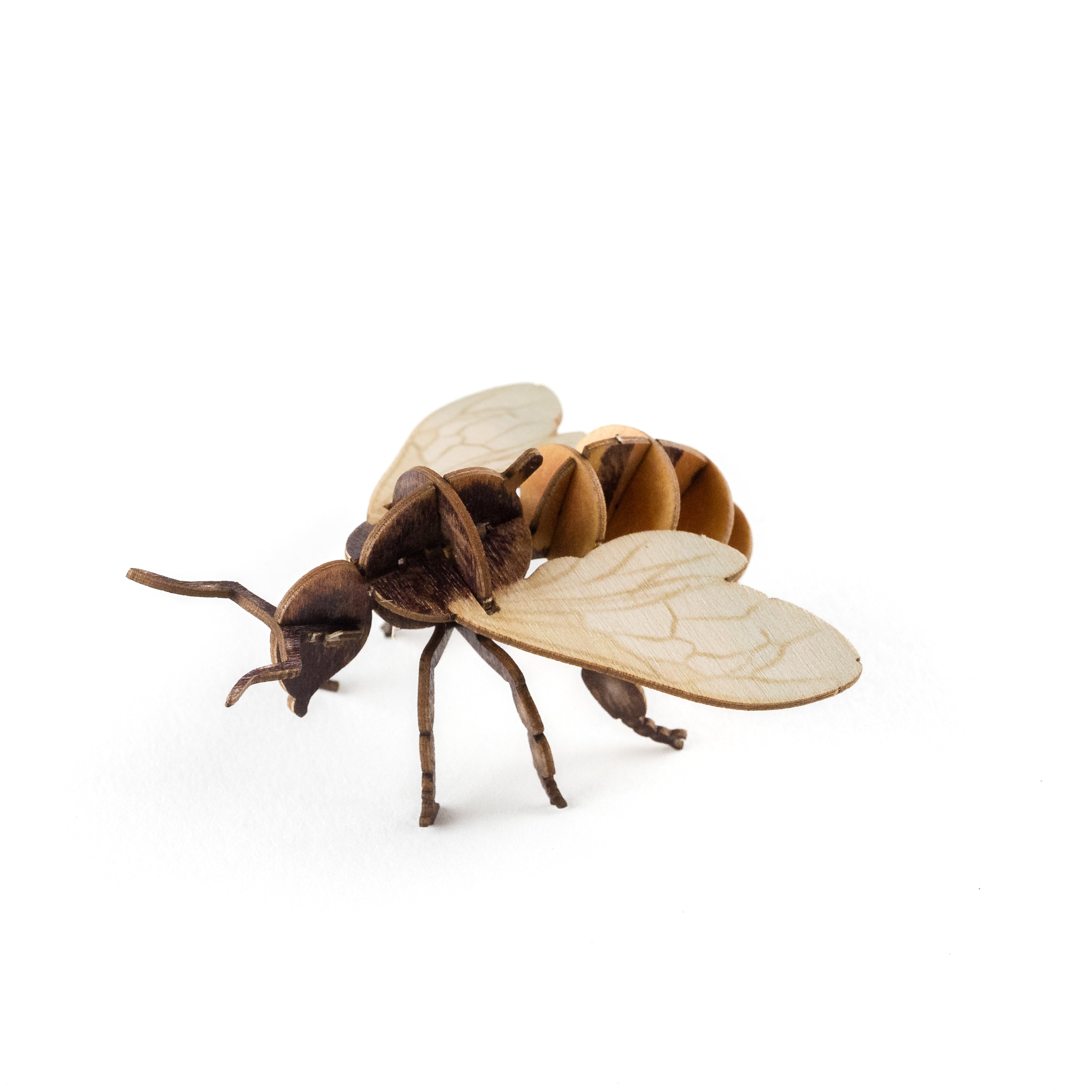 Crafty Card - Bee
